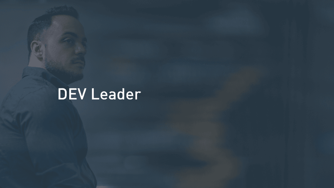 Dev Leader - Software Engineering Simplified